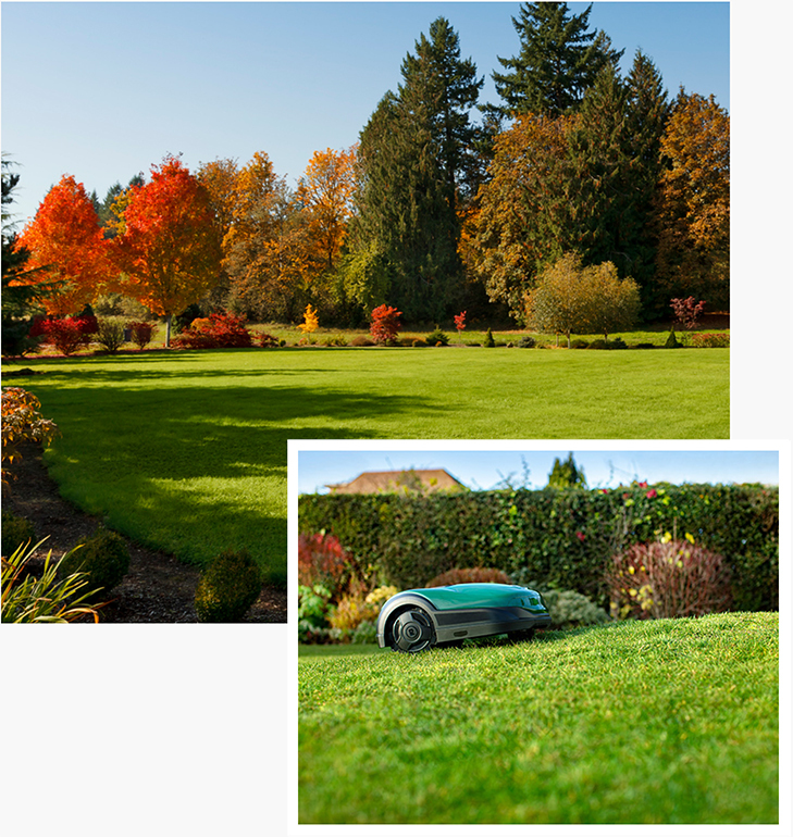 A robotic mower trims a lush green lawn in autumn